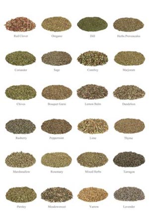 Collection of dried herbs.